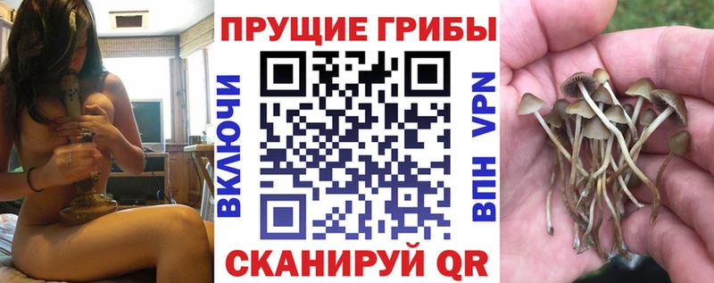 Псилоцибиновые грибы ЛСД  Купить закладки  Окуловка 